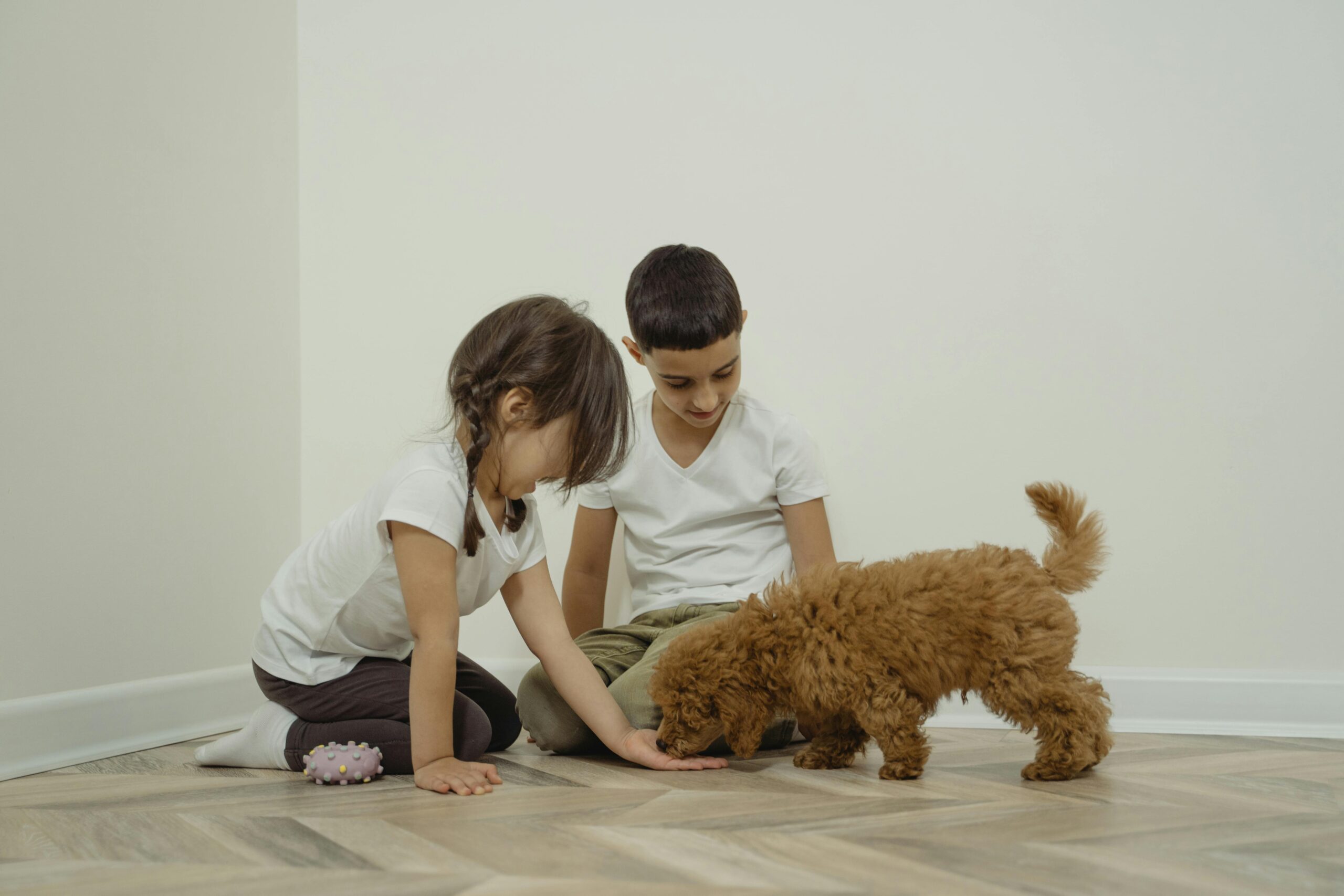 Girl in White Shirt and Black Pants Playing with Brown Dog